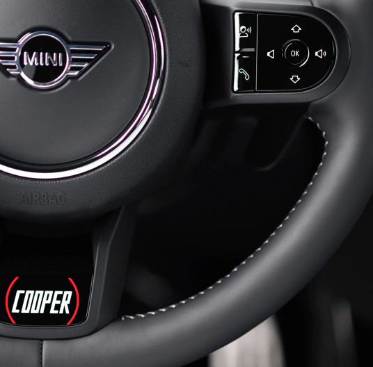 mini anniversary edition